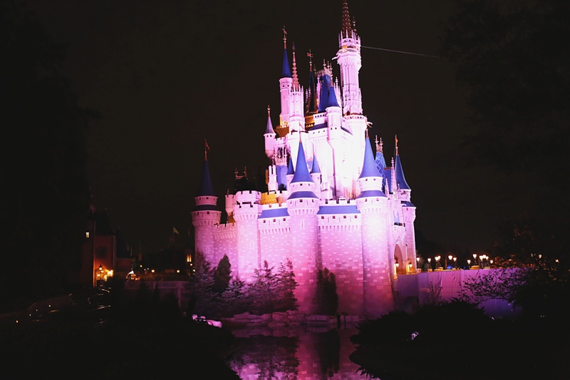 Walt_Disney_World_Vacation08
